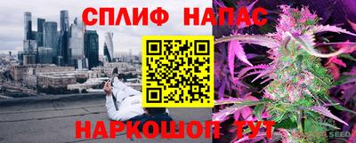 гашик Обь