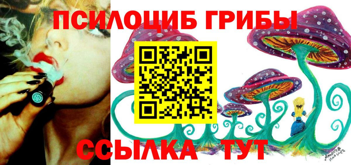 Россошь  Галлюциногенные грибы MAGIC MUSHROOMS  купить наркотик  Галлюциногенные грибы прущие грибы  Вход с VPN 