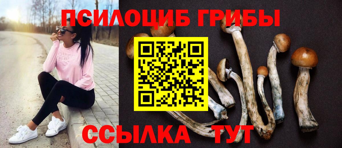 Галлюциногенные грибы Psilocybine cubensis Россошь